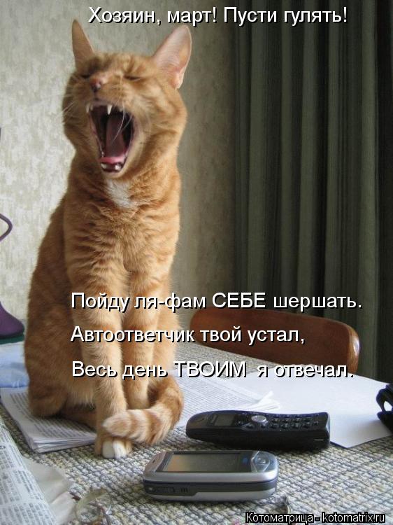 Хозяин, март! Пусти гулять! Пойду ля-фам СЕБЕ шершать. Автоответчик твой устал, Весь день ТВОИМ я от... Котоматрица: Хозяин, март! Пусти гулять! Пойду ля-фам СЕБЕ шершать. Автоответчик твой устал, Весь день ТВОИМ я отвечал.