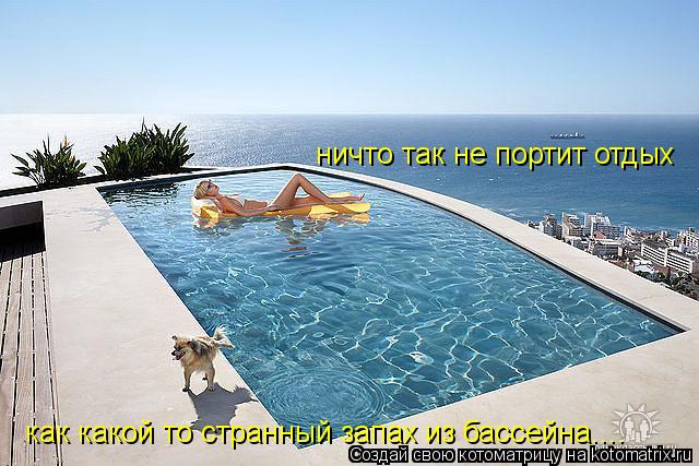 Котоматрица: ничто так не портит отдых как какой то странный запах из бассейна....