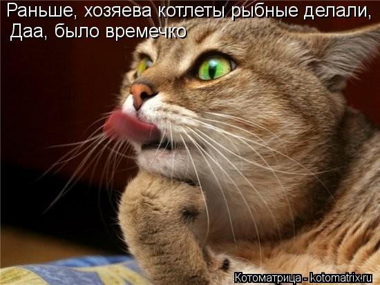 Котоматрица: Раньше, хозяева котлеты рыбные делали, Даа, было времечко
