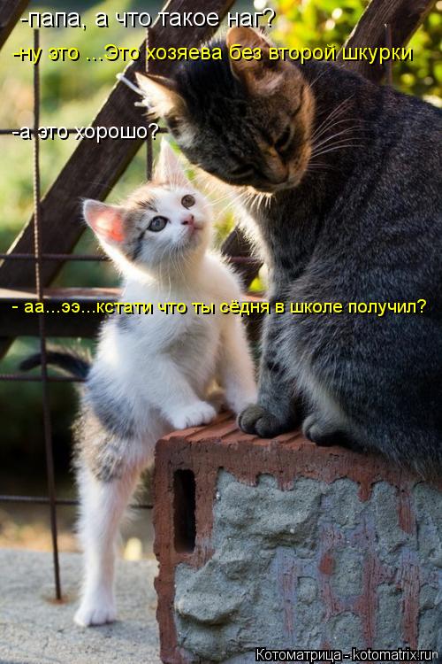 Котоматрица: -папа, а что такое наг? -ну это ...Это хозяева без второй шкурки -а это хорошо? - аа...ээ...кстати что ты сёдня в школе получил?