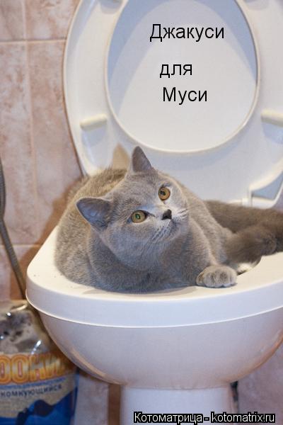 Джакуси Муси для... Котоматрица: Джакуси Муси для