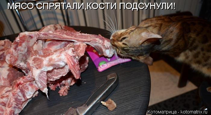 Котоматрица: МЯСО СПРЯТАЛИ,КОСТИ ПОДСУНУЛИ!