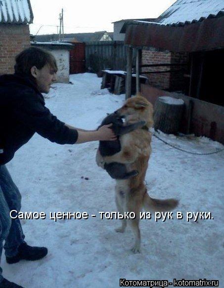 Самое ценное - только из рук в руки.... Котоматрица: Самое ценное - только из рук в руки.