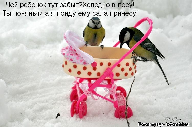 Чей ребенок тут забыт?Холодно в лесу! Ты поняньчи,а я пойду ему сала принесу!... Котоматрица: Чей ребенок тут забыт?Холодно в лесу! Ты поняньчи,а я пойду ему сала принесу!