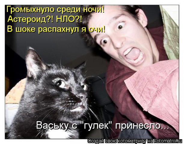 Котоматрица: Громыхнуло среди ночи! Астероид?! НЛО?! В шоке распахнул я очи! Ваську с "гулек" принесло...