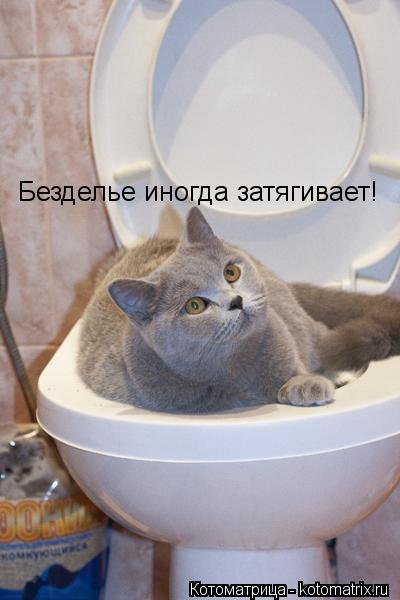Безделье иногда затягивает!... Котоматрица: Безделье иногда затягивает!