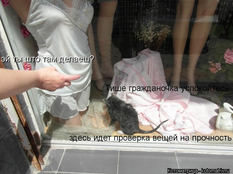 Котоматрица: эй ты што там делаеш? Тише гражданочка успокойтесь  здесь идет проверка вещей на прочность