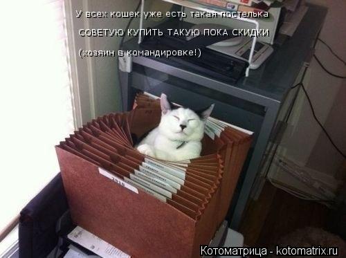 Котоматрица: У всех кошек уже есть такая постелька  СОВЕТУЮ КУПИТЬ ТАКУЮ ПОКА СКИДКИ  (хозяин в командировке!)