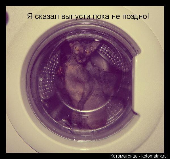 Котоматрица: Я сказал выпусти пока не поздно!