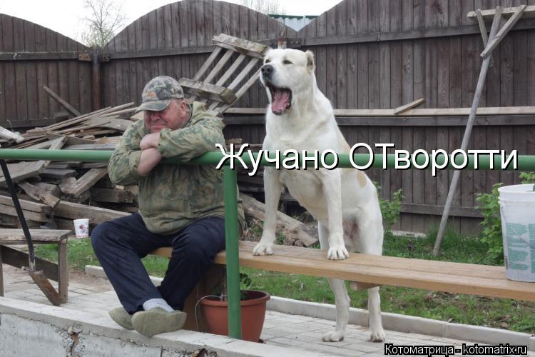 Жучано ОТворотти... Котоматрица: Жучано ОТворотти