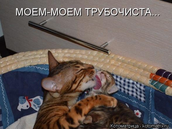 Котоматрица: МОЕМ-МОЕМ ТРУБОЧИСТА...