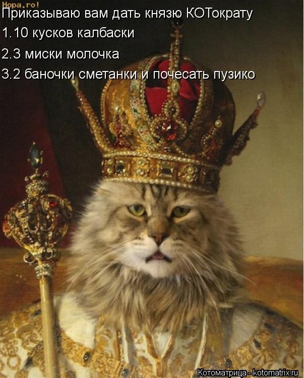 Котоматрица: Приказываю вам дать князю КОТократу   1.10 кусков калбаски 2.3 миски молочка 3.2 баночки сметанки и почесать пузико