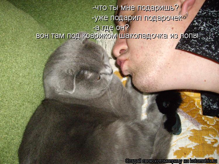Котоматрица: -что ты мне подаришь? -уже подарил подарочек -а где он? вон там под ковриком шаколадочка из попы