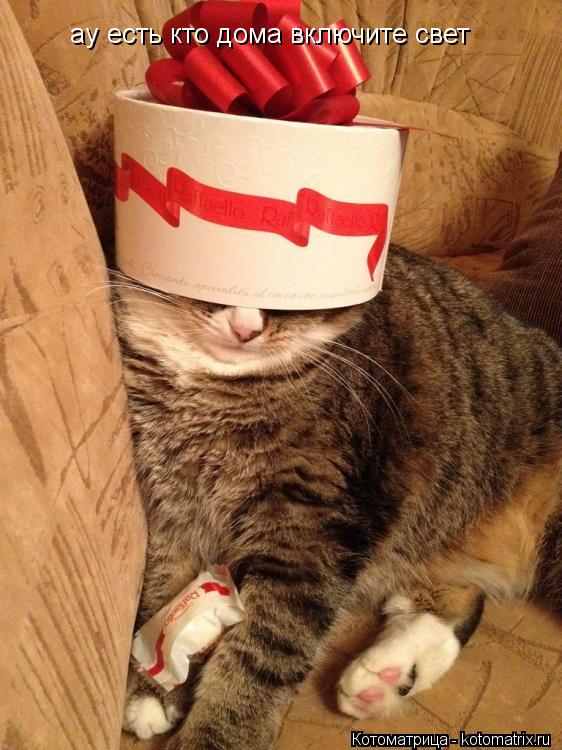 Котоматрица: с днём рожденья  ау есть кто дома включите свет ау есть кто дома включите свет