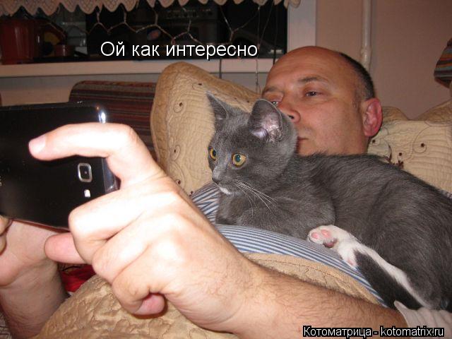 Котоматрица: Ой как интересно