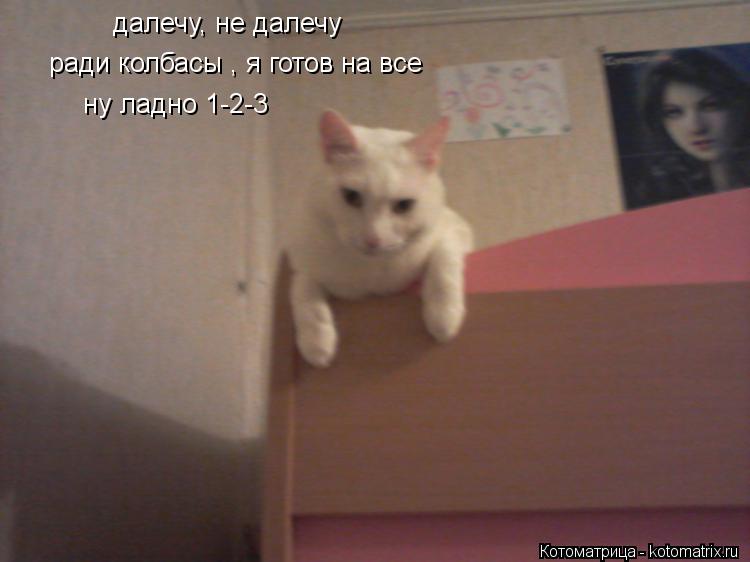 Котоматрица: далечу, не далечу ради колбасы , я готов на все ну ладно 1-2-3