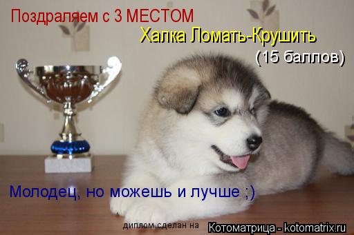 Котоматрица: Поздраляем с 3 МЕСТОМ Халка Ломать-Крушить (15 баллов) Молодец, но можешь и лучше ;) диплом сделан на