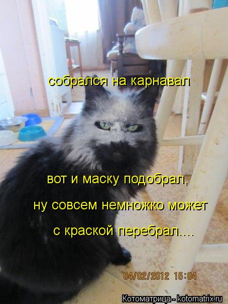 Котоматрица: собрался на карнавал вот и маску подобрал, ну совсем немножко может  с краской перебрал....