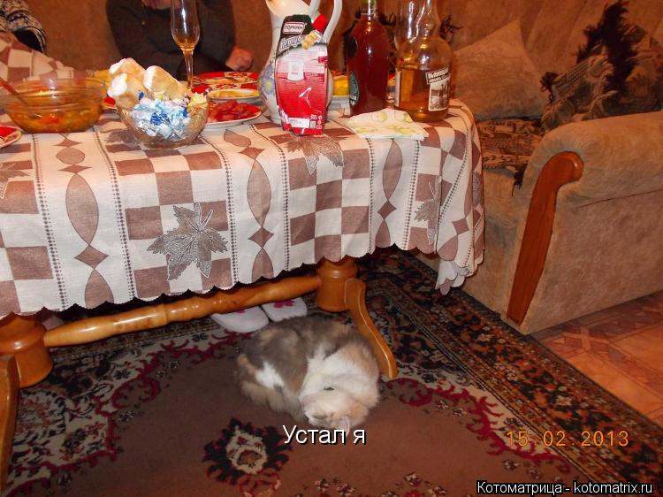 Котоматрица: Устал я