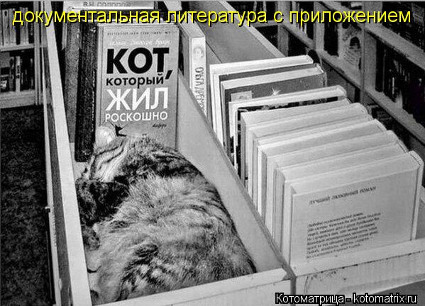 Котоматрица: документальная литература с приложением