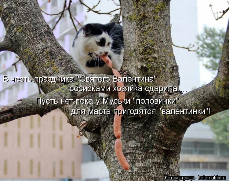Котоматрица: Пусть нет пока у Муськи "половинки" для марта пригодятся "валентинки"! сосисками хозяйка одарила.... В честь праздника "Святого Валентина"