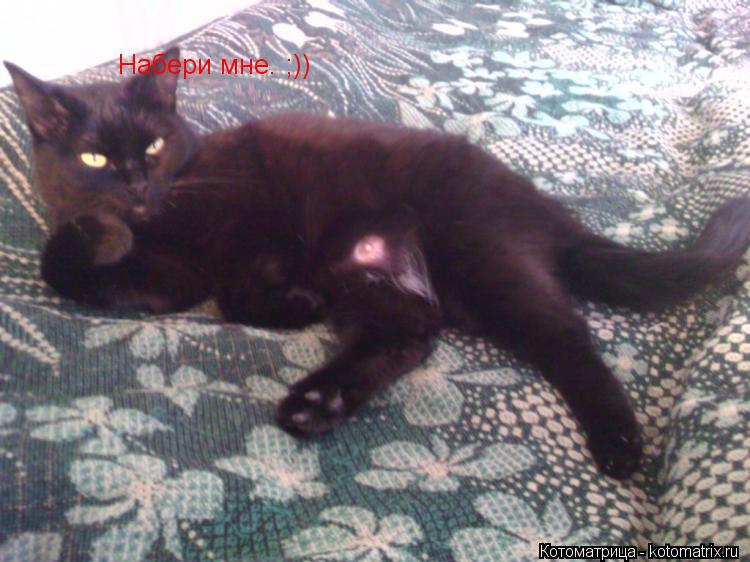 Набери мне. ;))... Котоматрица: Набери мне. ;))