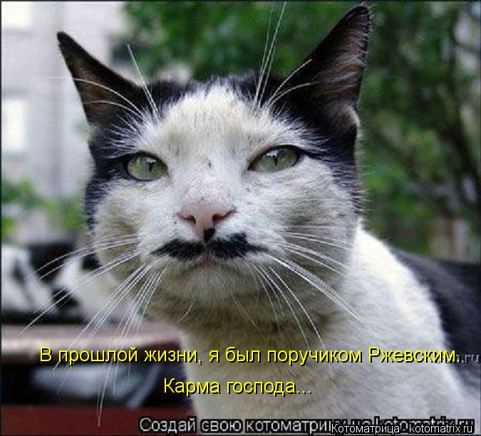Котоматрица: В прошлой жизни, я был поручиком Ржевским. Карма господа...