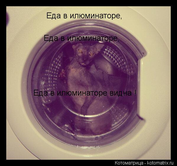 Котоматрица: Еда в илюминаторе, Еда в илюминаторе, Еда в илюминаторе видна !