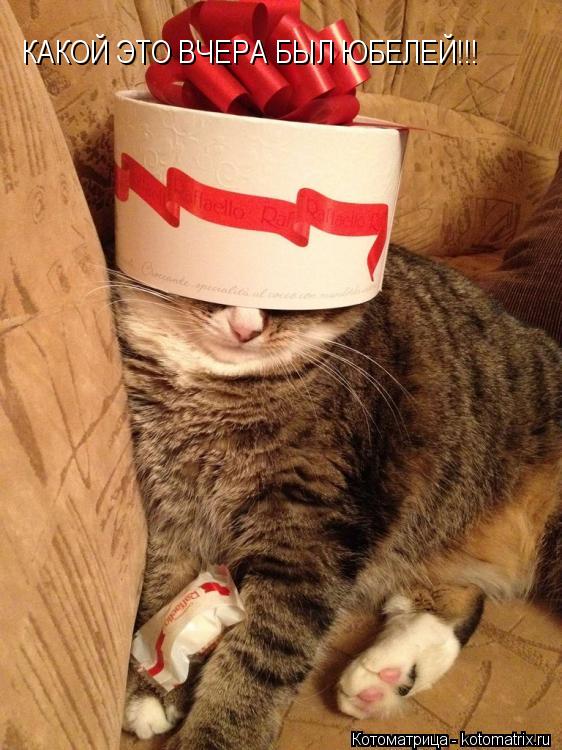 Котоматрица: КАКОЙ ЭТО ВЧЕРА БЫЛ ЮБЕЛЕЙ!!!