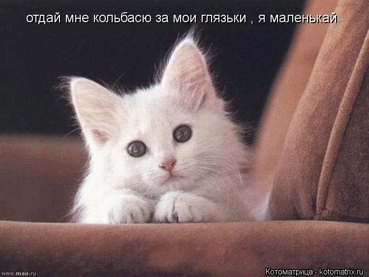 Котоматрица: отдай мне кольбасю за мои глязьки , я маленькай