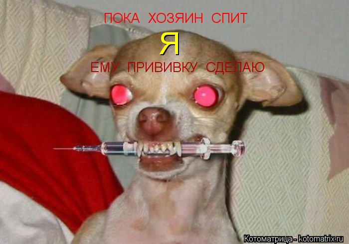 Котоматрица: ПОКА  ХОЗЯИН  СПИТ   Я ЕМУ  ПРИВИВКУ  СДЕЛАЮ