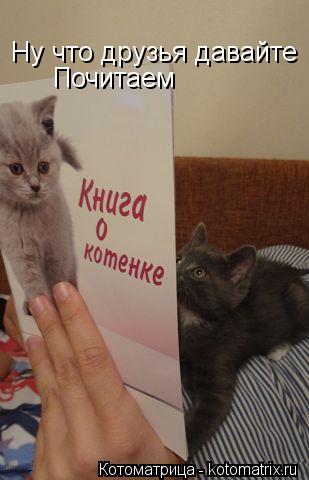 Котоматрица: Ну что друзья давайте  Почитаем