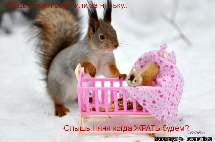 Котоматрица: -Называется оставили за няньку... -Слышь Няня когда ЖРАТЬ будем?!