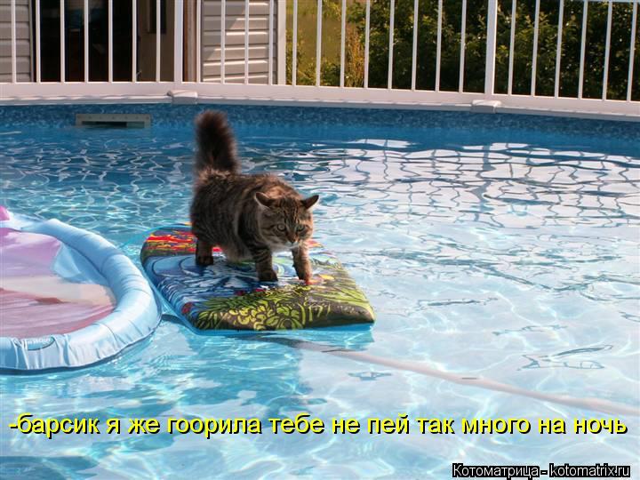 -барсик я же гоорила тебе не пей так много на ночь... Котоматрица: -барсик я же гоорила тебе не пей так много на ночь
