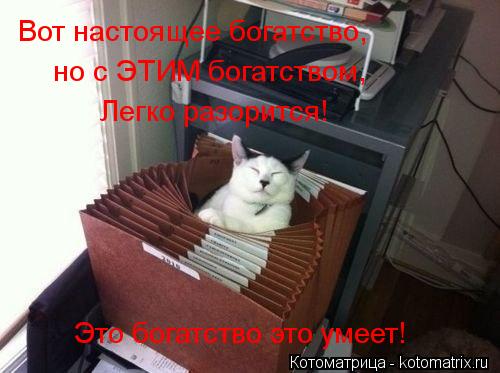 Котоматрица: Вот настоящее богатство, но с ЭТИМ богатством, Легко разорится! Это богатство это умеет!