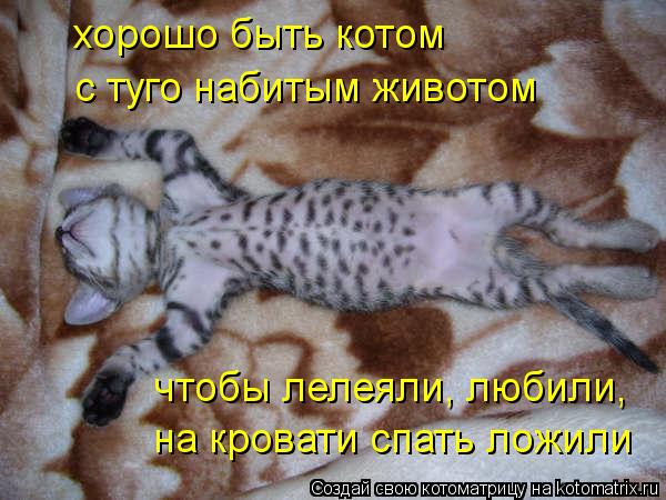 хорошо быть котом с туго набитым животом чтобы лелеяли, любили, на кровати спать ложили... Котоматрица: хорошо быть котом с туго набитым животом чтобы лелеяли, любили, на кровати спать ложили