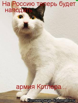 Котоматрица: На Россию теперь будет . наподать армия Котлера...