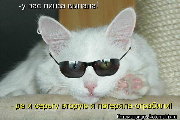 Котоматрица: -у вас линза выпала! - да и серьгу вторую я потеряла-ограбили!