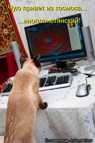 Чую привет из космоса... ...инопланетянский!... Котоматрица: Чую привет из космоса... ...инопланетянский!