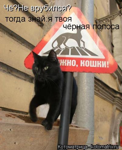 Котоматрица: Чё?Не врубился? тогда знай:я твоя  чёрная полоса