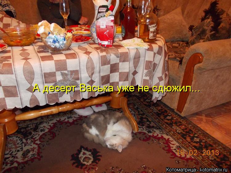 А десерт Васька уже не сдюжил...... Котоматрица: А десерт Васька уже не сдюжил...