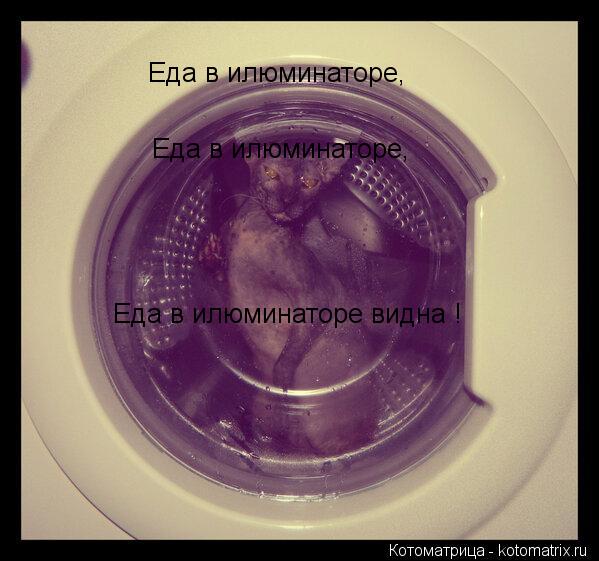 Котоматрица: Еда в илюминаторе видна ! Еда в илюминаторе, Еда в илюминаторе,