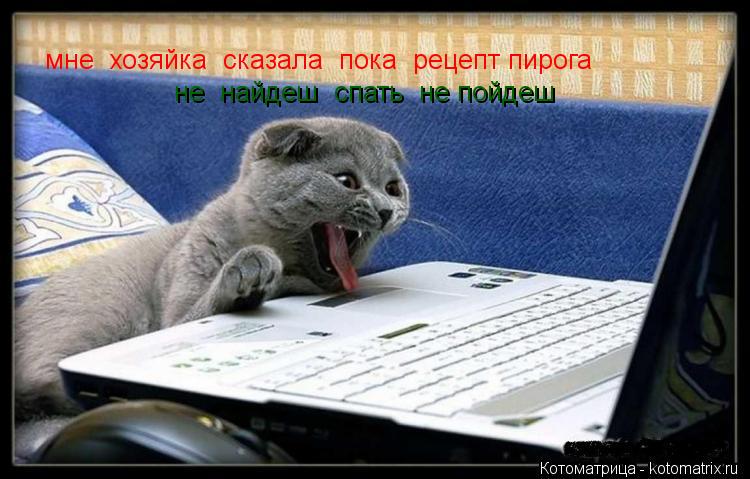 мне хозяйка сказала пока рецепт пирога не найдеш спать не пойдеш... Котоматрица: мне хозяйка сказала пока рецепт пирога не найдеш спать не пойдеш