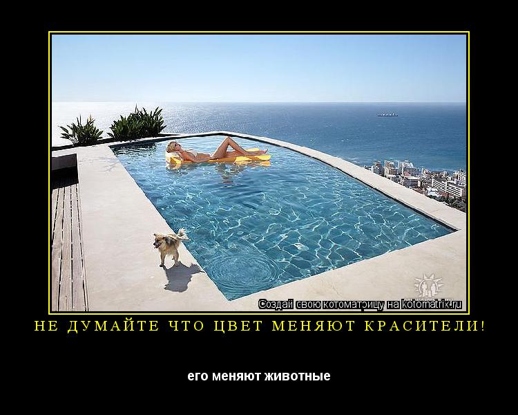 Котоматрица: НЕ ДУМАЙТЕ ЧТО ЦВЕТ МЕНЯЮТ КРАСИТЕЛИ! его меняют животные