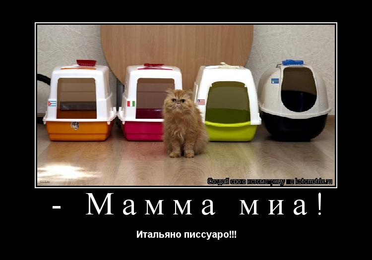 - Мамма миа! Итальяно писсуаро!!!... Котоматрица: - Мамма миа! Итальяно писсуаро!!!