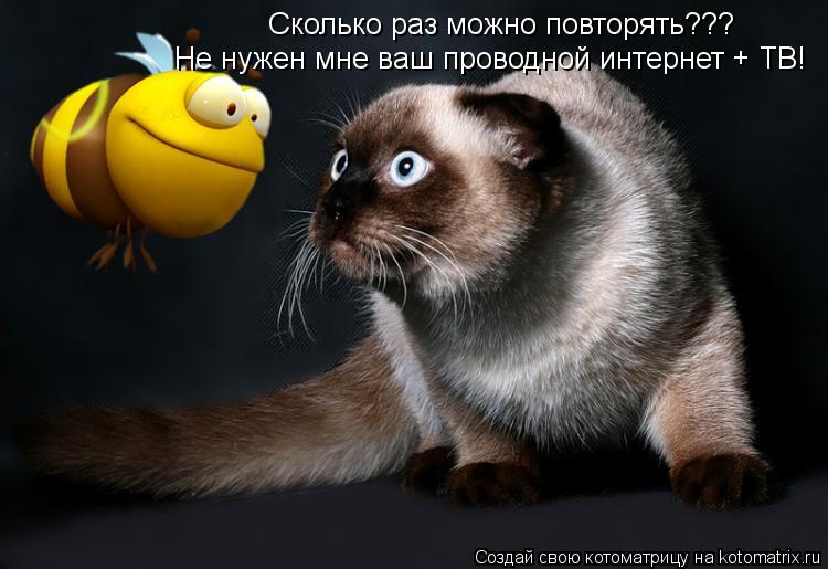 Сколько раз можно повторять??? Не нужен мне ваш проводной интернет + ТВ!... Котоматрица: Сколько раз можно повторять??? Не нужен мне ваш проводной интернет + ТВ!