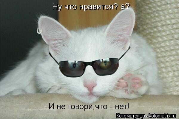 Котоматрица: Ну что нравится? а? И не говори,что - нет!