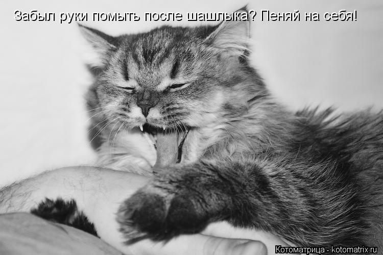 Забыл руки помыть после шашлыка? Пеняй на себя! Забыл руки помыть после шашлыка? Пеняй на себя!... Котоматрица: Забыл руки помыть после шашлыка? Пеняй на себя! Забыл руки помыть после шашлыка? Пеняй на себя!