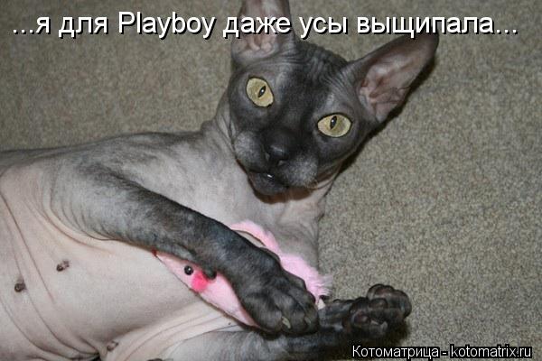 ...я для Playboy даже усы выщипала...... Котоматрица: ...я для Playboy даже усы выщипала...