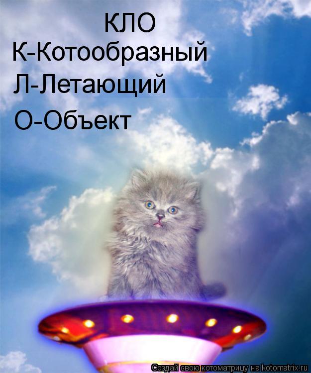 Котоматрица: КЛО КЛО К-Котообразный Л-Летающий О-Объект